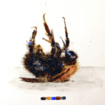 Handcoloured DGA. Signed, limited edition of 10