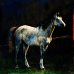 DGA. Signed, limited edition of 30
