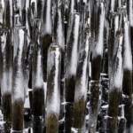 Photo by Stig-Ove Sivertsen
Limited and signed edition of 10
Image size: 45 x 36 cm
Sheet size: approx. 52 x 43 cm
For purchase contact post@gallerisos.no Iindustrial, ice covered, wooden piles in sea water