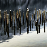 Photo by Stig-Ove Sivertsen
Limited and signed edition of 10
Image size: 45 x 36 cm
Sheet size: approx. 52 x 43 cm
For purchase contact post@gallerisos.no Photo of old piles in the sea