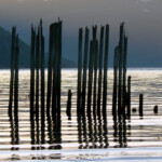 Photo by Stig-Ove Sivertsen
Limited and signed edition of 10
Image size 38 x 38 cm
Sheet size: approx. 42 x 42 cm
For purchase contact post@gallerisos.no Photo of wooden stakes in sunset – and a bird
